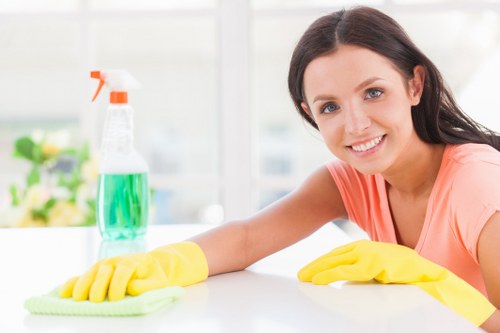 Professional sofa cleaning service for Chelsea homes