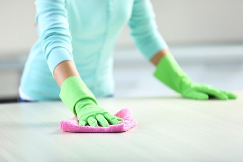 Chelsea cleaning team working in a modern apartment