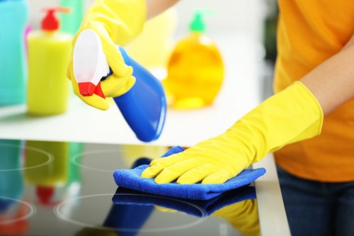 Detailed cleaning support for Chelsea properties with access challenges