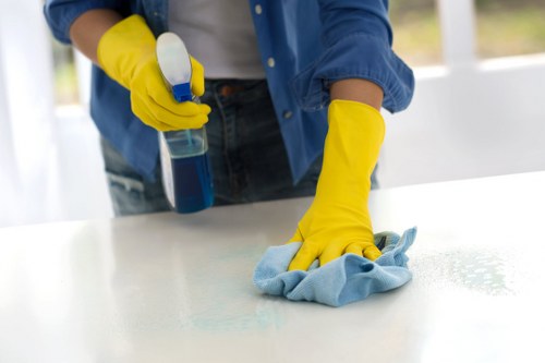 Local Chelsea cleaning team working in an apartment building